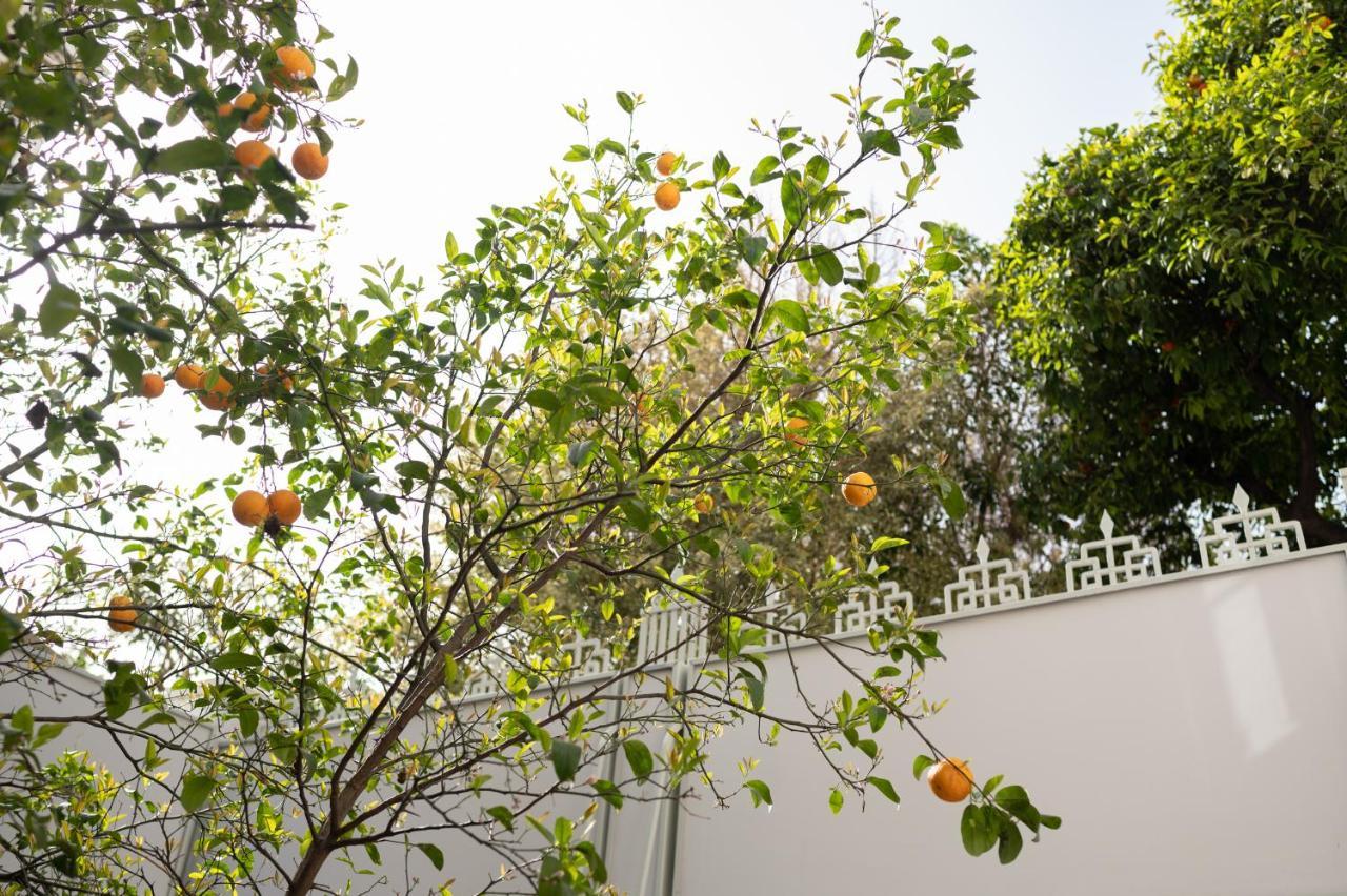 Casa Blue Dove Apartment Chania  Bagian luar foto